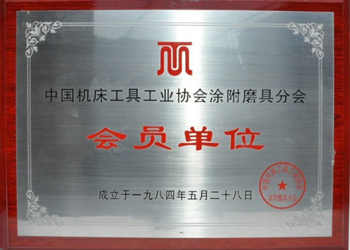 Member of the Coating Mold Branch of China Machine Tool Industry Association